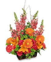 BRILLIANT BASKET Arrangement