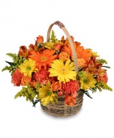 Cheergiver  Basket