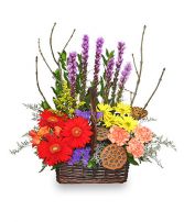 Out Of The Woods Flower Basket